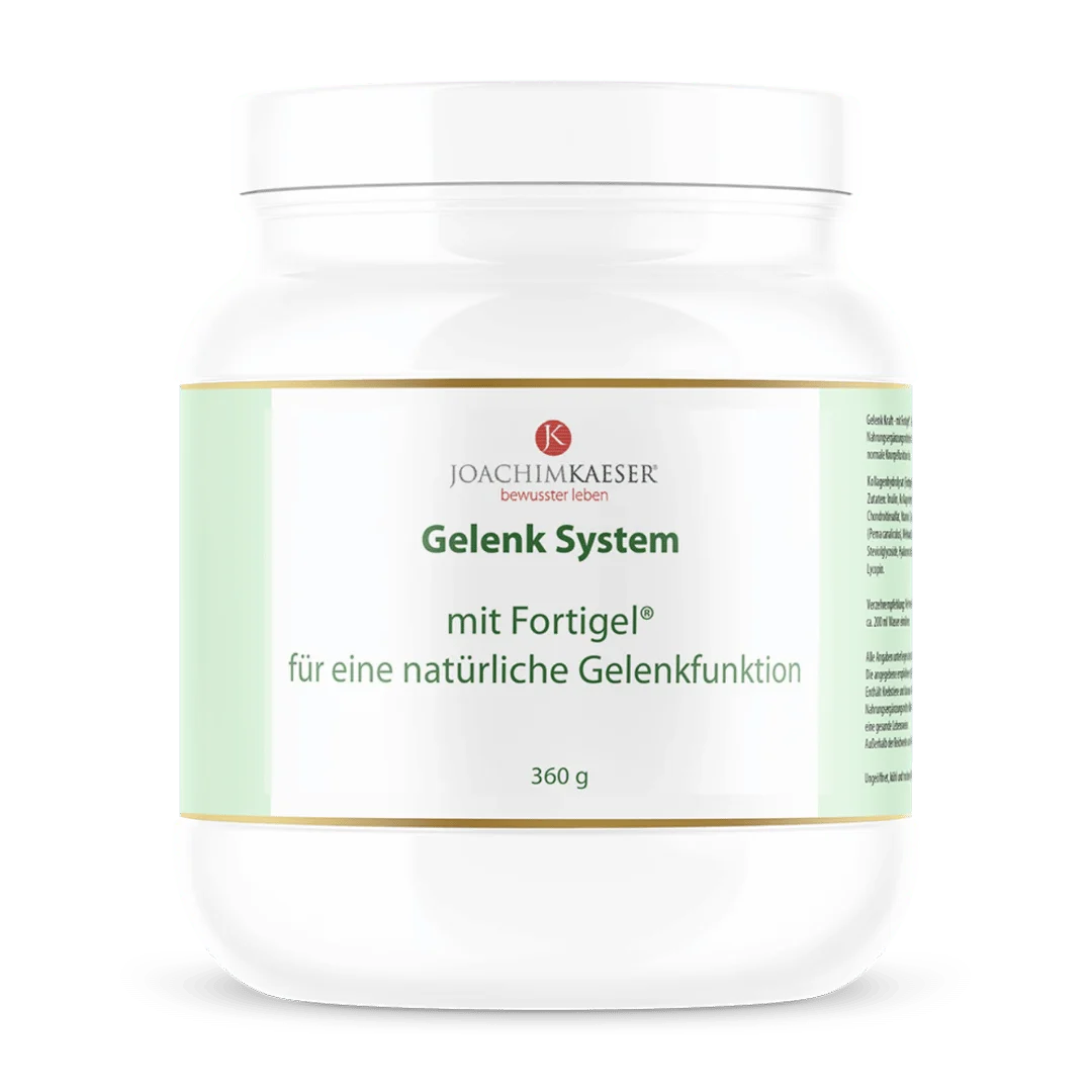 Gelenk System