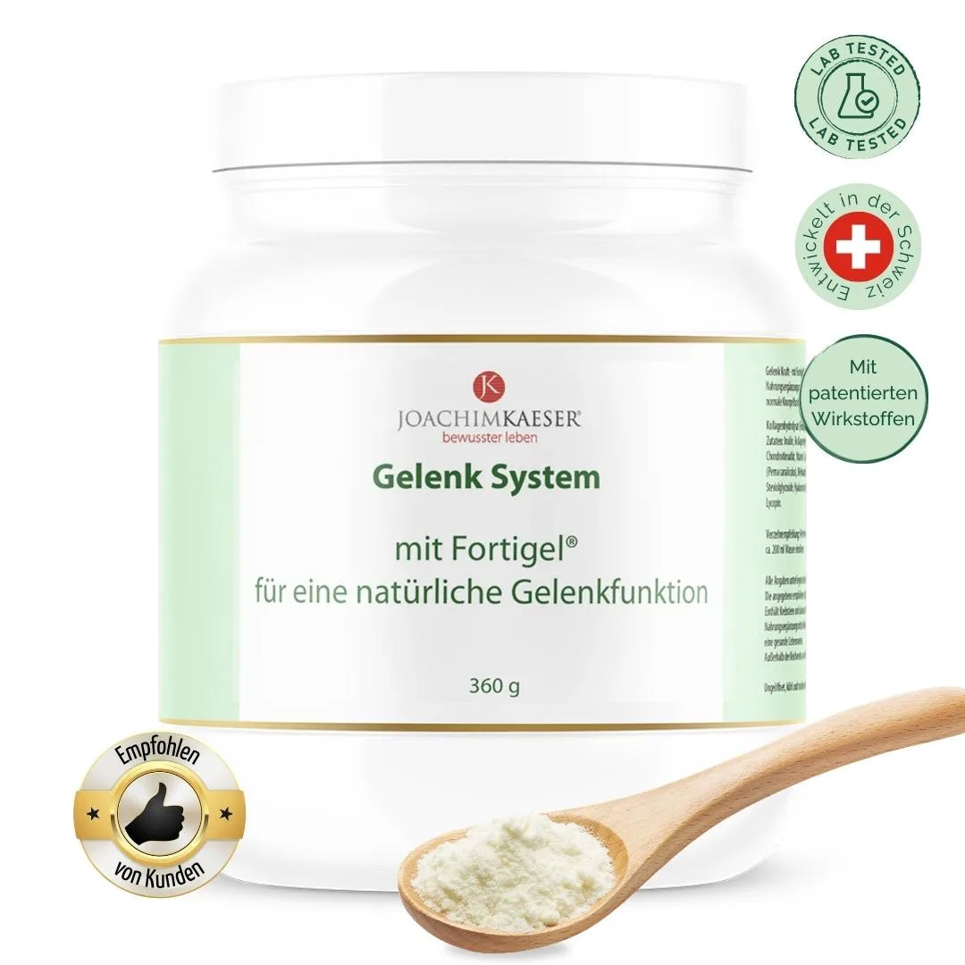 Gelenk System