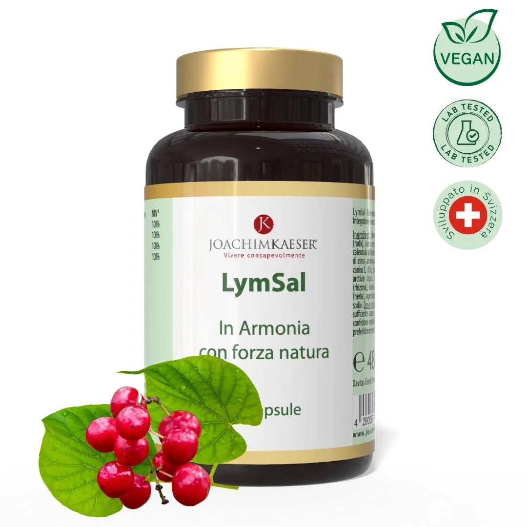 Lymsal - Lymphsystem & Gefäße