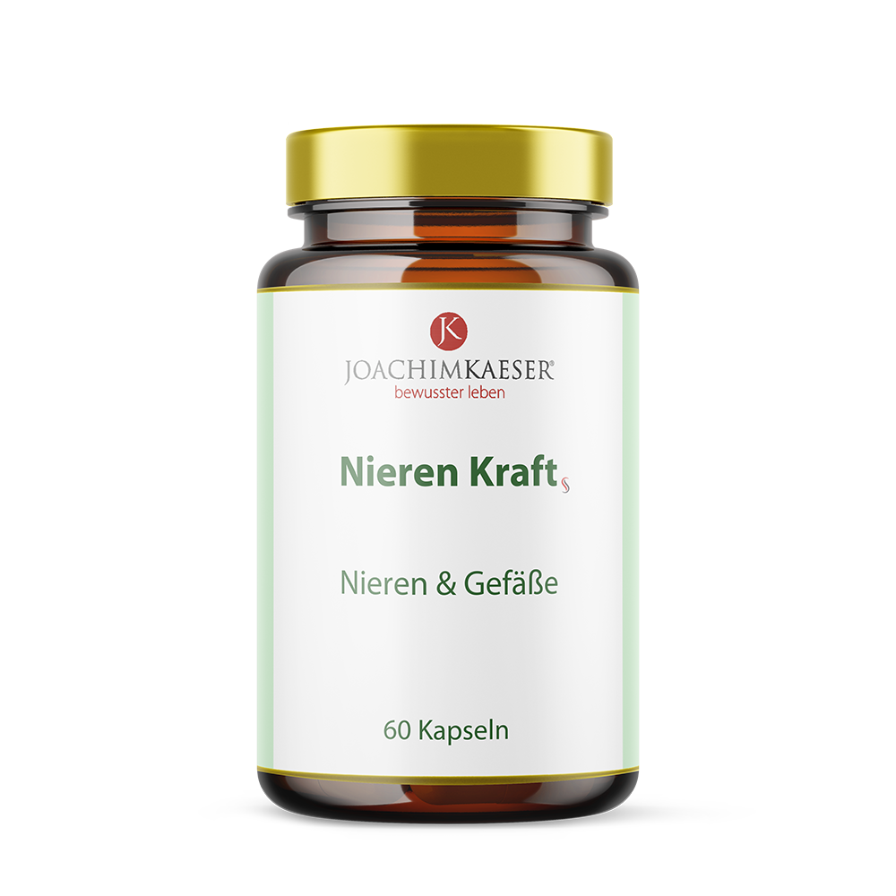 Nieren Kraft