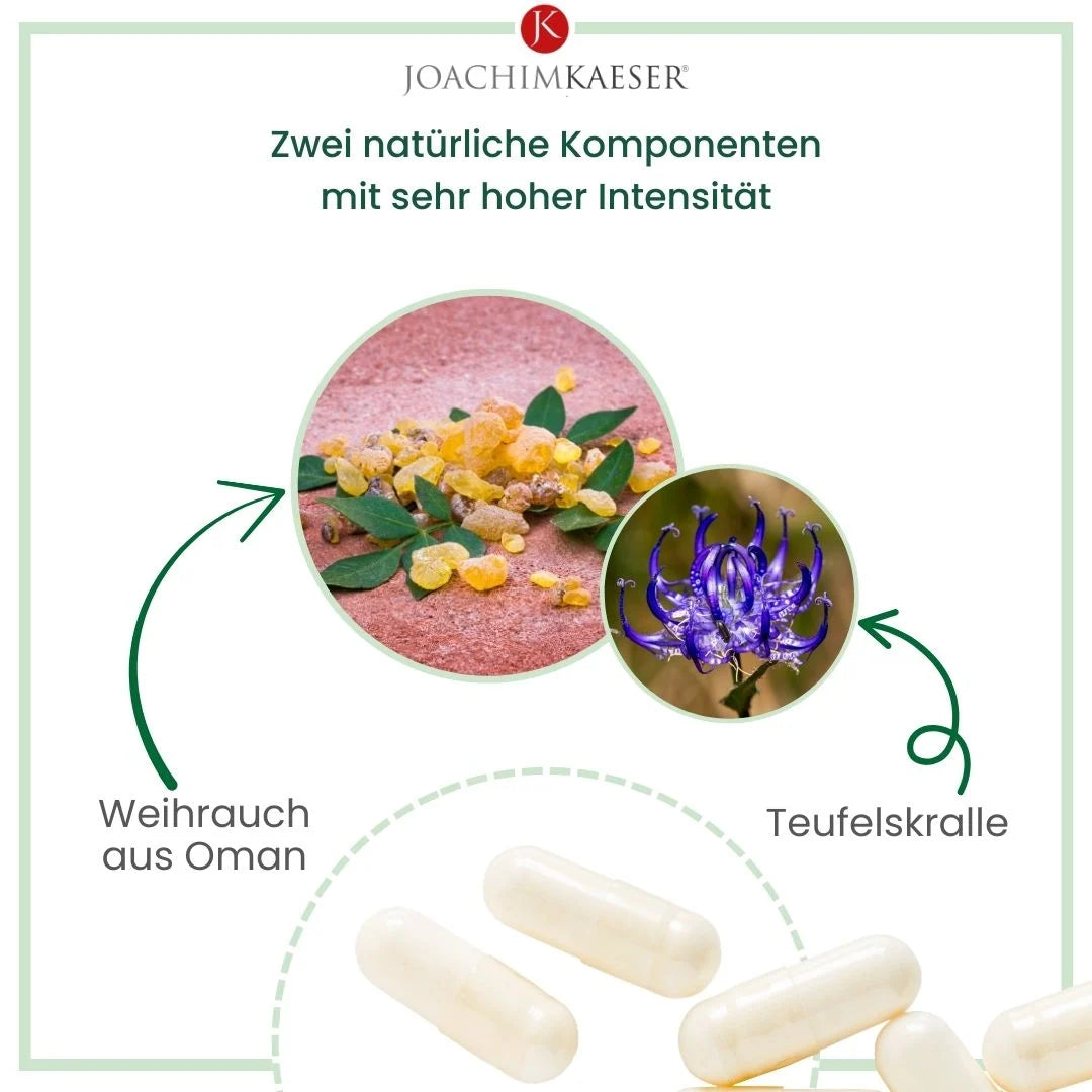 Weihrauch 2.0