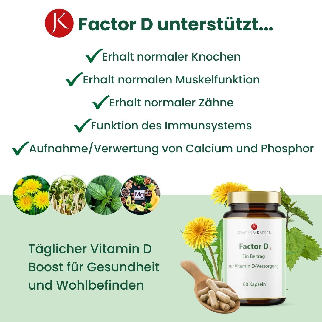 Factor D - Vitamin D2 & D3 | Sondergröße