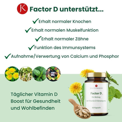 Factor D - Vitamin D2 & D3 | Sondergröße