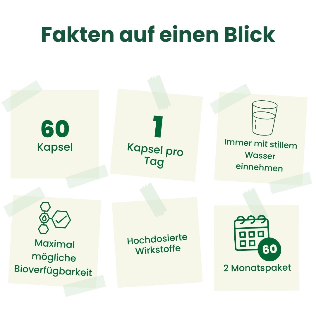 Factor D - Vitamin D2 & D3 | Sondergröße