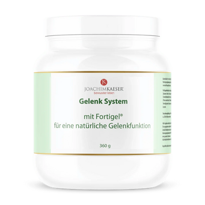 Gelenk System