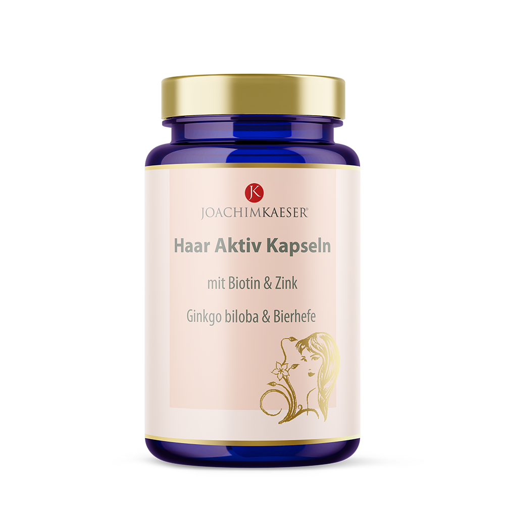 Haar Aktiv – Biotin, Zink, Selen & Kupfer mit Hirse, Ginkgo & Bierhefe für normale Haare