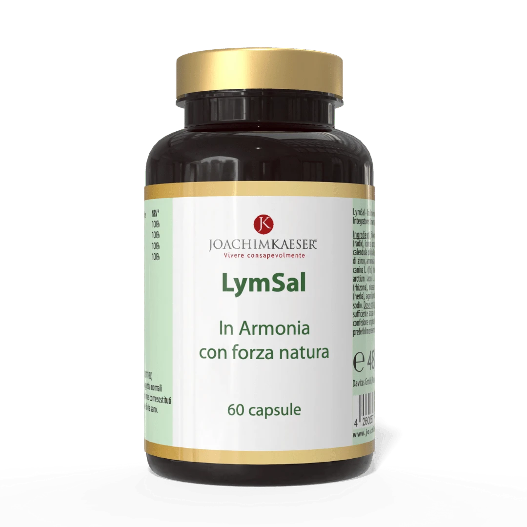 Lymsal