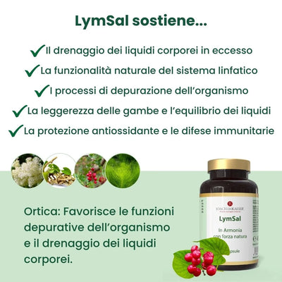 Lymsal