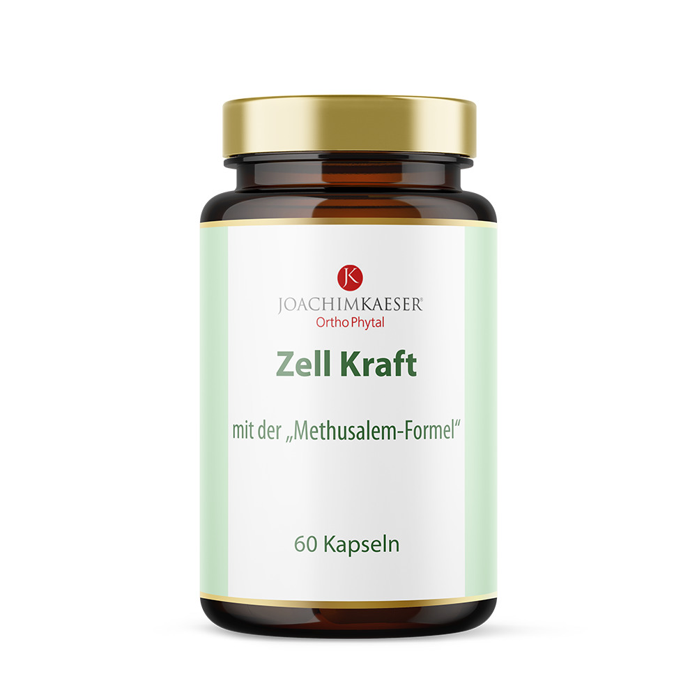 Zell Kraft