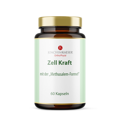 Zell Kraft – 304 mg OPC aus Traubenkern mit Resveratrol, L-Carnosin, Vitamin A, C & E, 60 vegane Kapseln